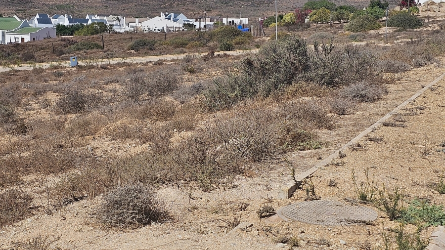 0 Bedroom Property for Sale in Harbour Lights Western Cape